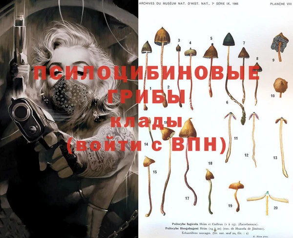 Альфа ПВП Зерноград