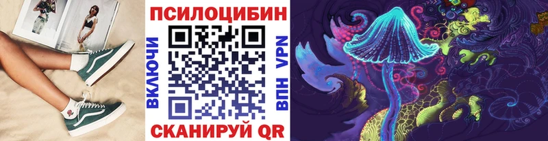 Псилоцибиновые грибы GOLDEN TEACHER  Купить где  Вышний Волочёк 